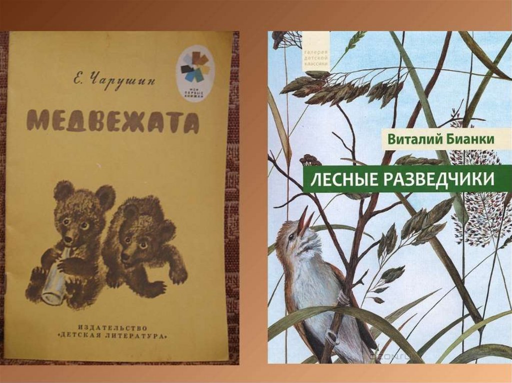 Чтение о братьях наших меньших. Книги о братьях наших меньших. Бианки в. 