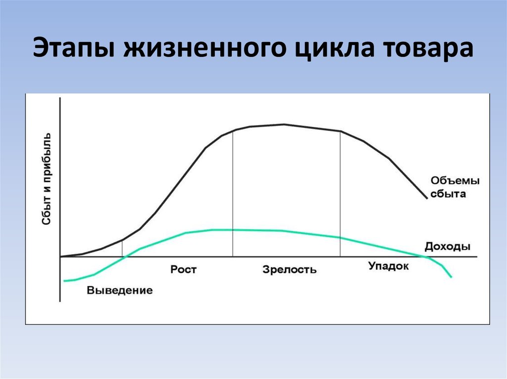 На каком этапе жизненного цикла