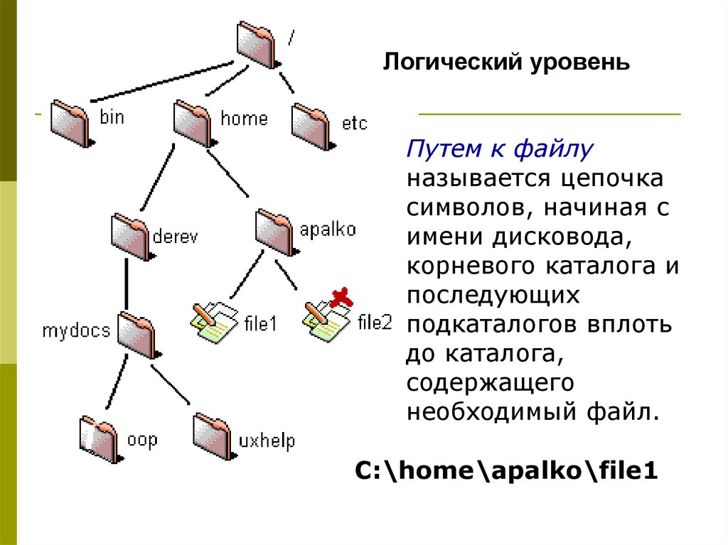 Файл каталог подкаталог. Ввод-вывод файловой системы. Логический уровень файловой системы. Вывод файловой структуры. Файловая система и ввод и вывод информации.