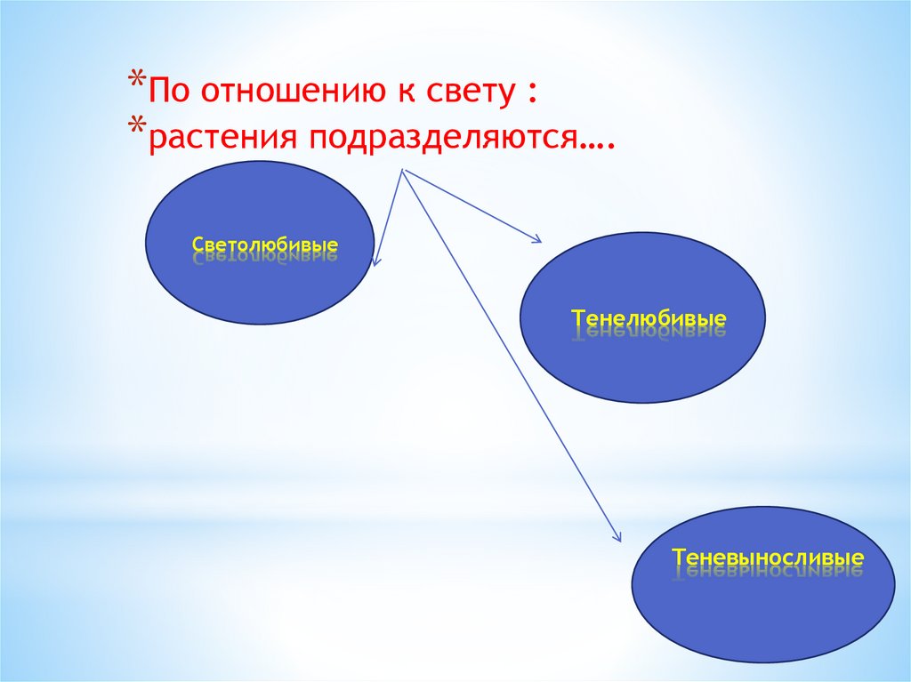 Отношение к свету. Бактерии по отношению к свету. Типы микроорганизмов по отношению к свету. Бактерии по отношению к влиянию света. Человек по отношению к свету.