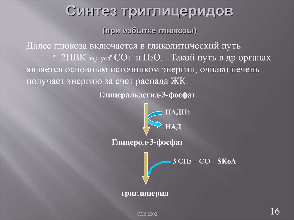 Осуществите синтез. Триглицериды биохимия Синтез. Тканевой распад и Синтез триглицеридов. Реакции синтеза триглицеридов. Схема синтеза триглицеридов.