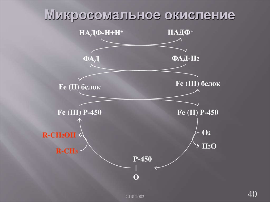 Схема микросомального окисления биохимия