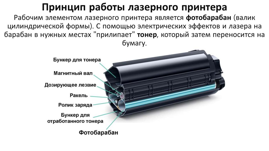 Принцип работы лазерного принтера Рабочим элементом лазерного принтера является фотобарабан (валик цилиндрической формы). С