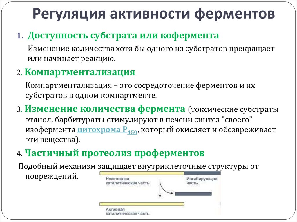 Цербер компартмент