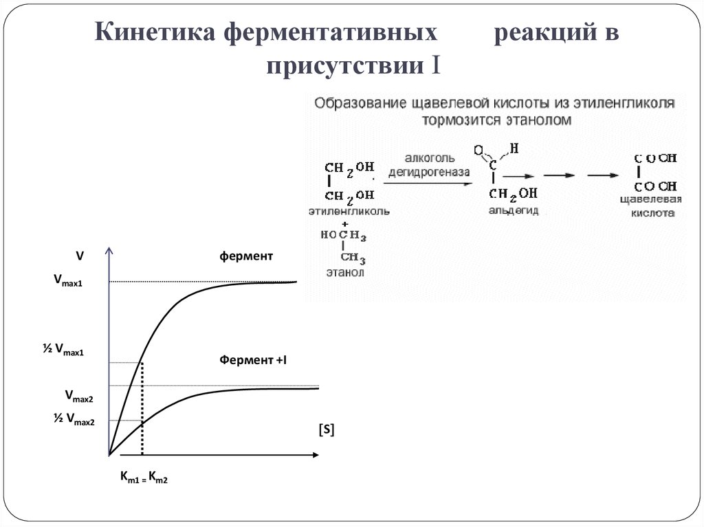 Реакции ферментов. Кинетика ферментативных реакций график. Кинетика ферментативных реакций. Кинетические кривые ферментативных реакций. Графические методы анализа ферментативных реакций..