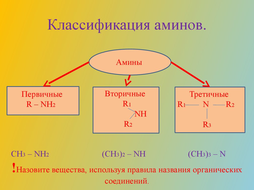 Азотосодержащее органическое соединение амины презентация