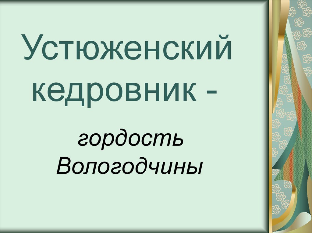 Устюженский кедровник -