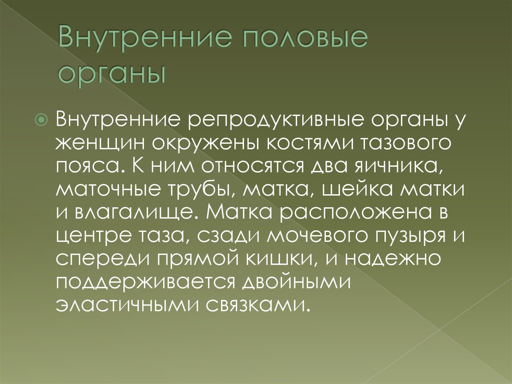 К внутренним половым органам женщины относятся цдз. Репродуктивным органом является.