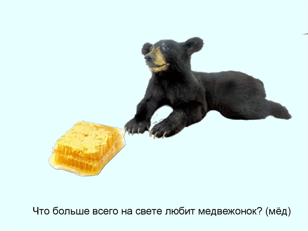 Медовый мишка 34 глава. Медведь с медом. Медвежонок с медом. Медвежонок любит мед. Люблю медвежонка.