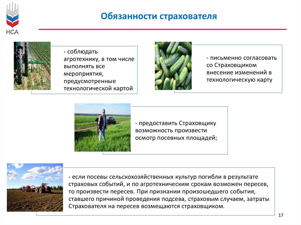 Безопасность продукции растениеводства. Технологии растениеводства. Гипотеза по теме технологии растениеводства. Технология растениеводства для студентов экономических факультетов.