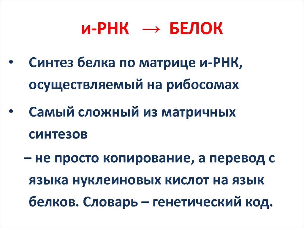 Язык белок. Язык белков. Глоссарий по белкам. Терминология по белкам. Язык белок чипик.