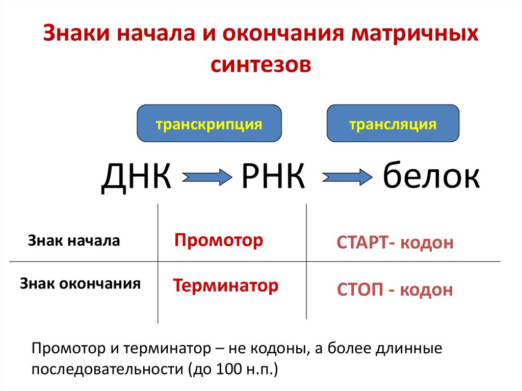 Реакции матричного синтеза