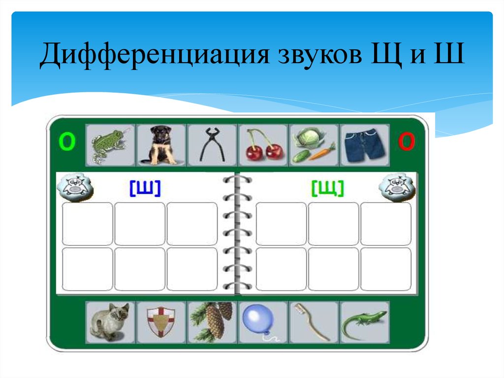 Расположить ш. Дифференциация звуков ш-щ. Задания на дифференциацию звуков ш-щ. Диффеонциациязвуков ш щ. Упражнения на дифференциацию звуков ш-щ.