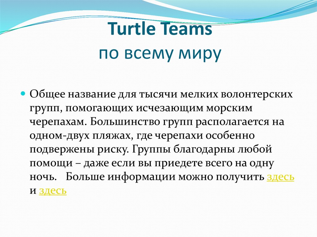 Turtle Teams по всему миру