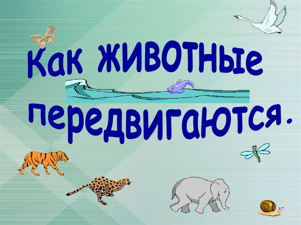 Движение животных проект