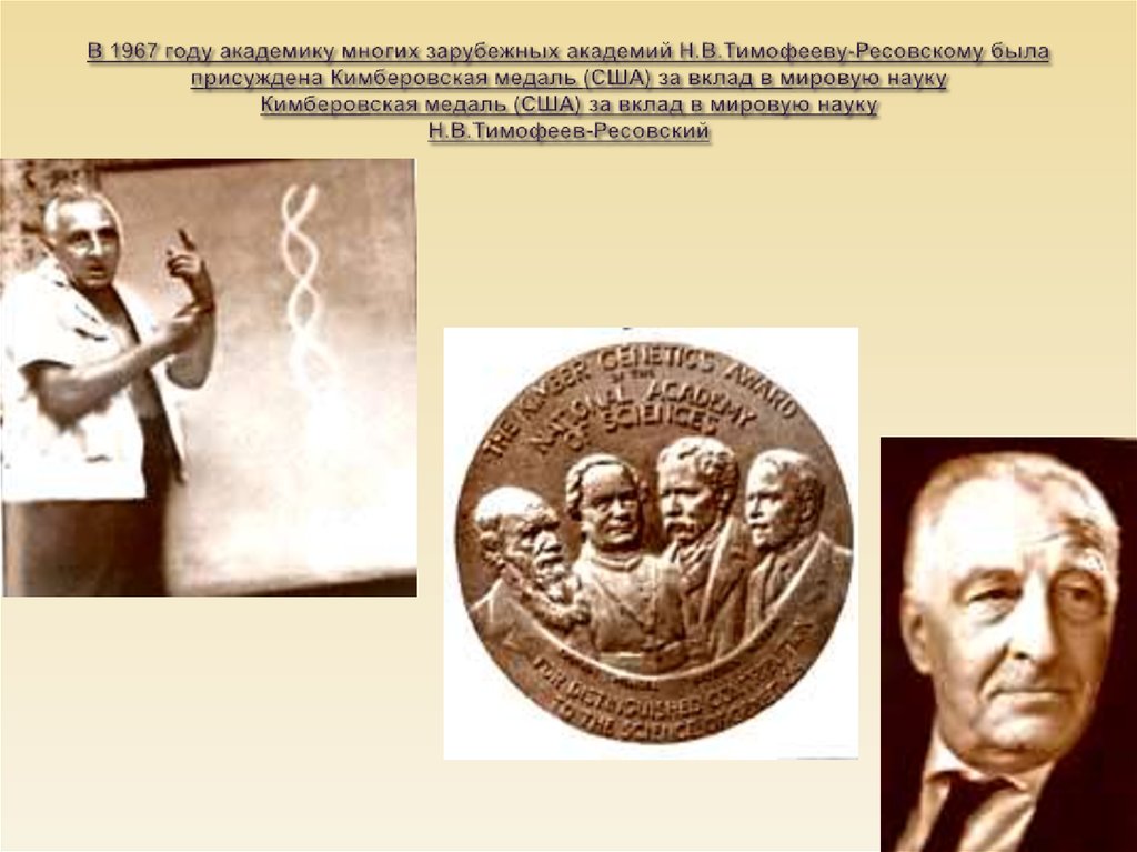 В 1967 году академику многих зарубежных академий Н.В.Тимофееву-Ресовскому была присуждена Кимберовская медаль (США) за вклад в