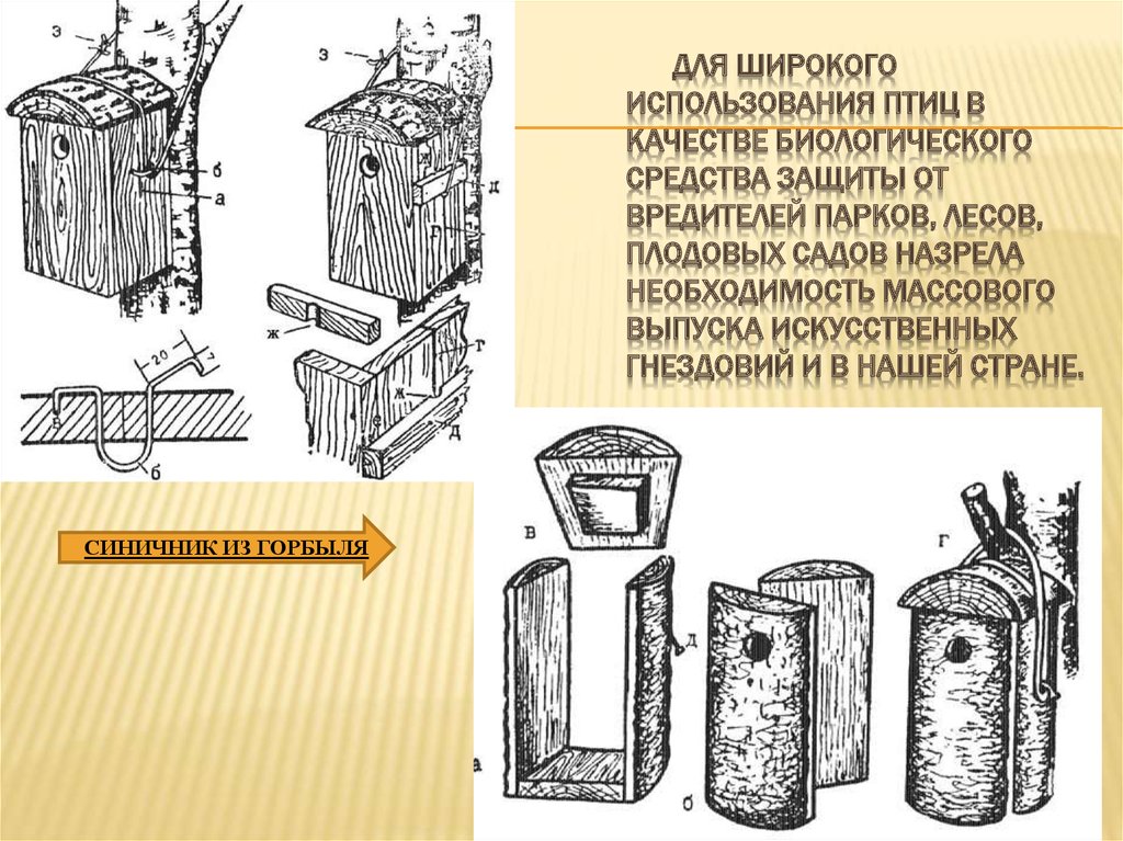 Проект скворечник введение