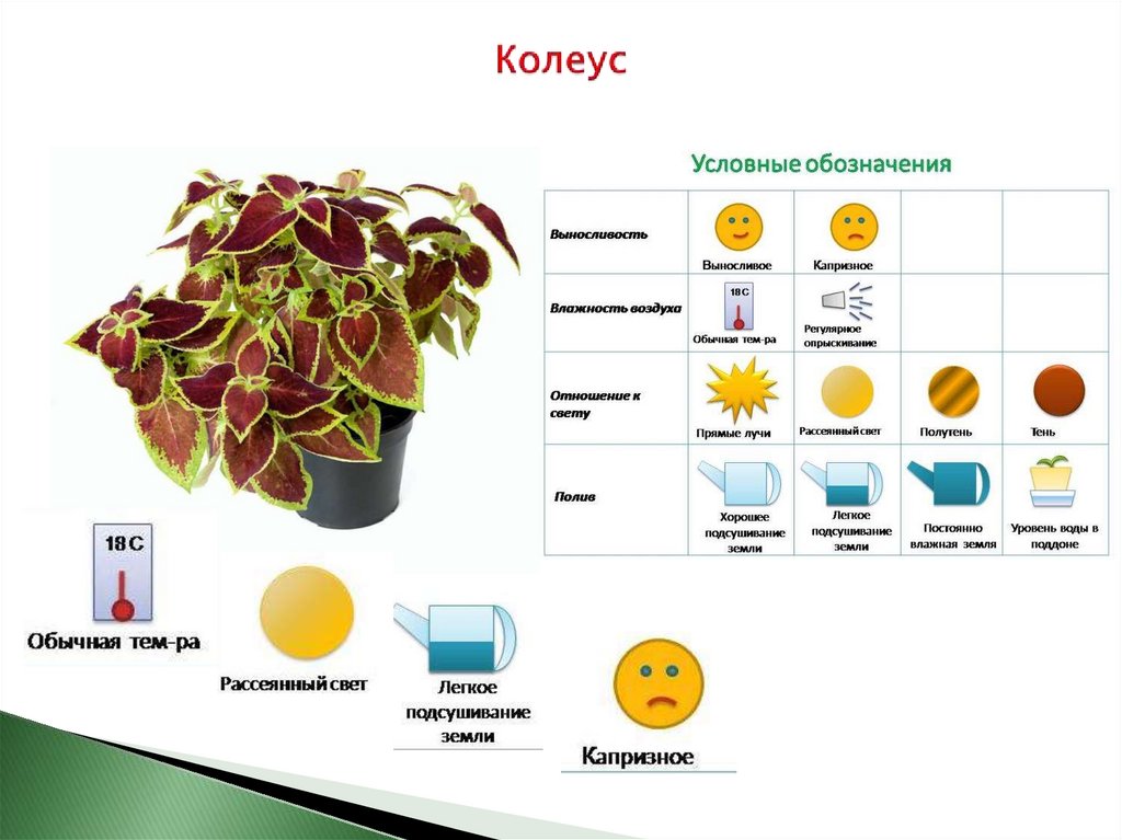 Условные обозначения цветов