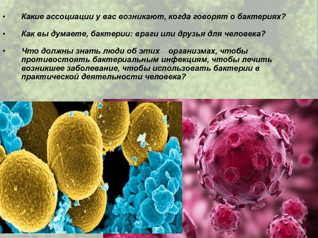 Сообщение по биологии бактерии. Интересная информация о бактериях. Сообщение о бактериях. Бактерии презентация. Интересные факты о бактериях.