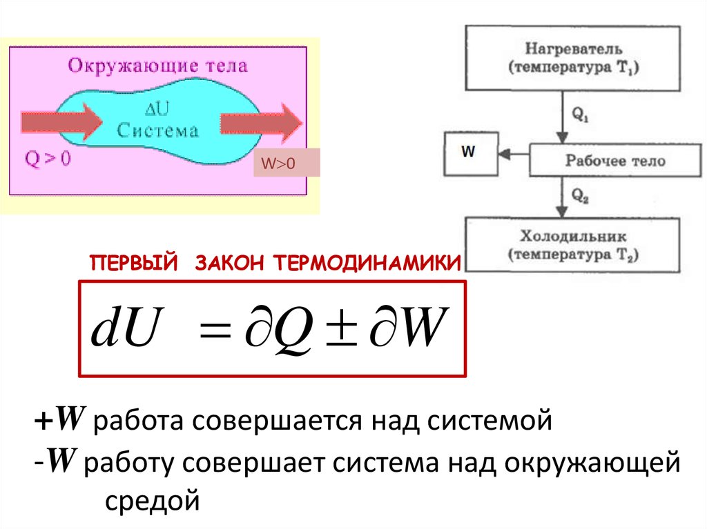 Рабочим телом от нагревателя. Работа системы и над системой. Термодинамика биофизика. Элементы биофизики при изучении механики. Что такое температура в биофизике.