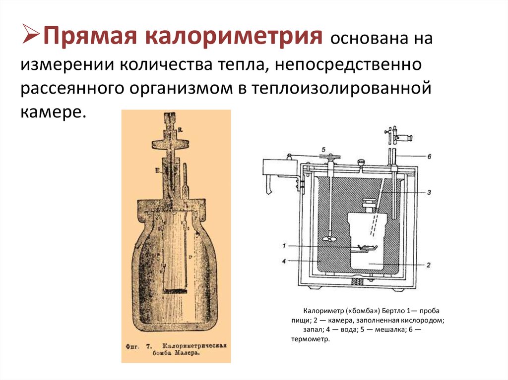 Виды калориметров. Прямая калориметрия. Прямая и непрямая калориметрия. Методы непрямой калориметрии.