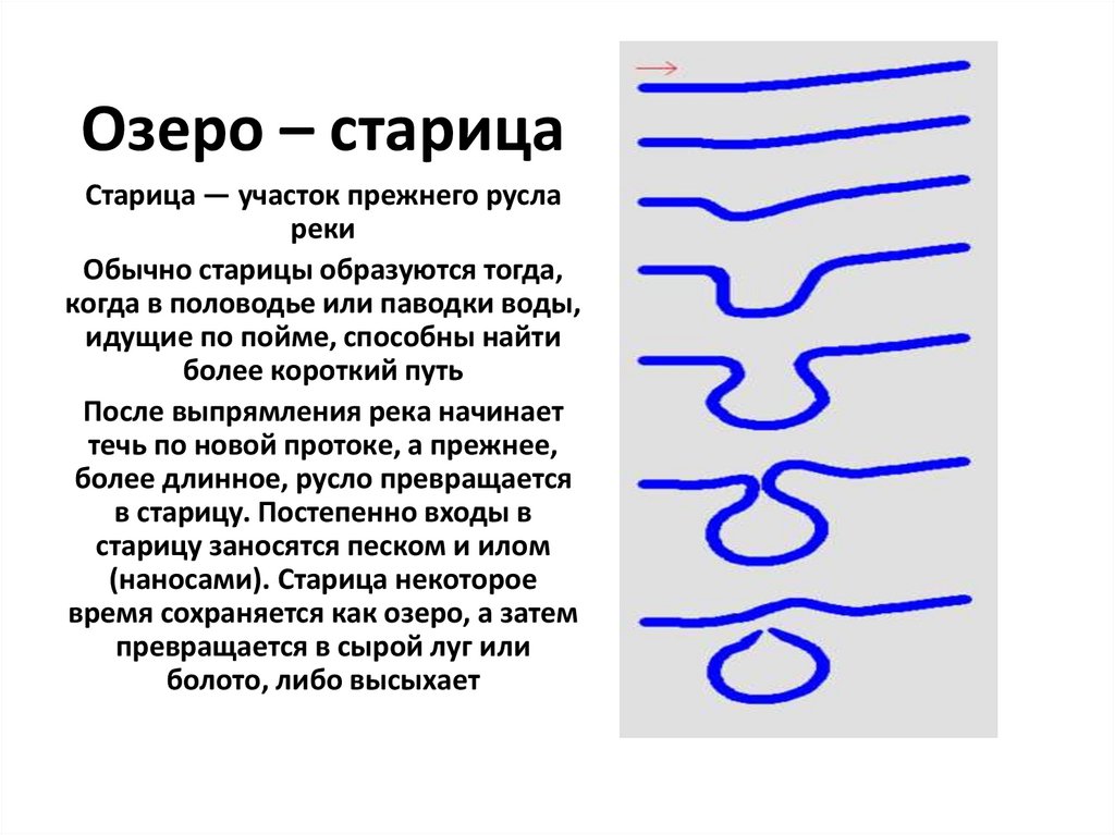 Озеро образовано. Озеро Старица. Как образуются озера старицы. Старица русло. Озеро Старица Старица.