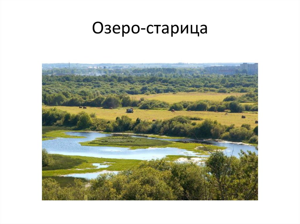 Озера старицы