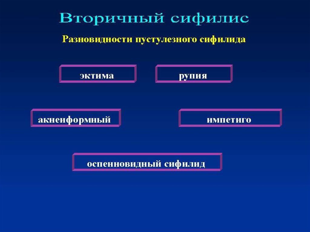 Разновидности сифилидов. Вторичный период сифилиса. Виды вторичных сифилид. Морфологический элемент вторичного периода сифилиса. Разновидность вторичного пустулезного сифилида.