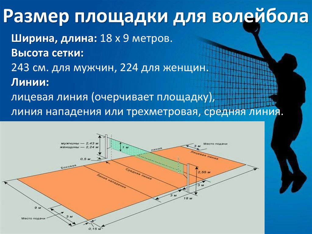 Волейбольная площадка схема. Размеры волейбольной площадки. Зоны волейбольной площадки. Зоны в волейболе и задачи игроков.