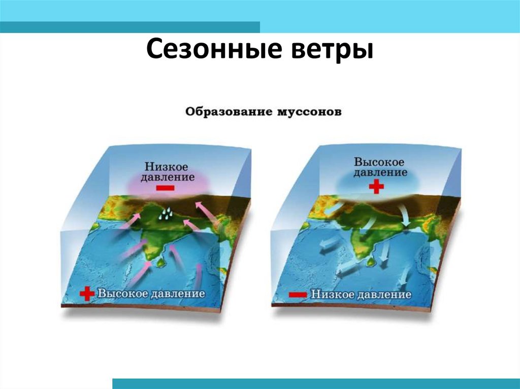 Направление каких ветров показано на схеме лето зима