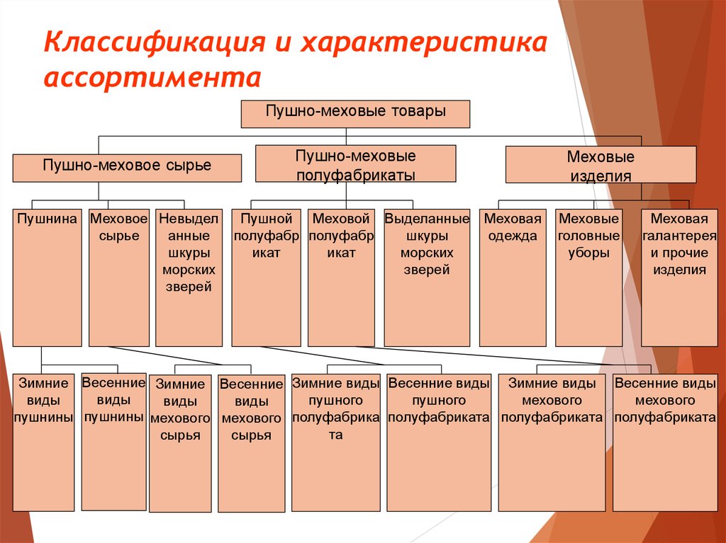 Параметры классификации. Классификация галантерейных товаров. Классификация характеристика. Галантерейные товары ассортимент таблица. Классификация и характеристика ассортимента.