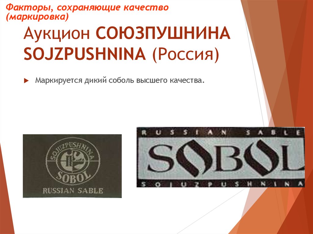 Союзпушнина. Союзпушнина аукцион первый. Аукцион Союзпушнина Sojuzpushnina (Россия).