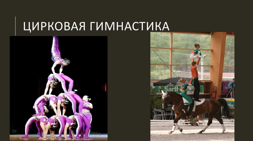 Цирковая гимнастика