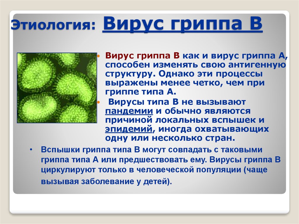Этиология: Вирус гриппа В