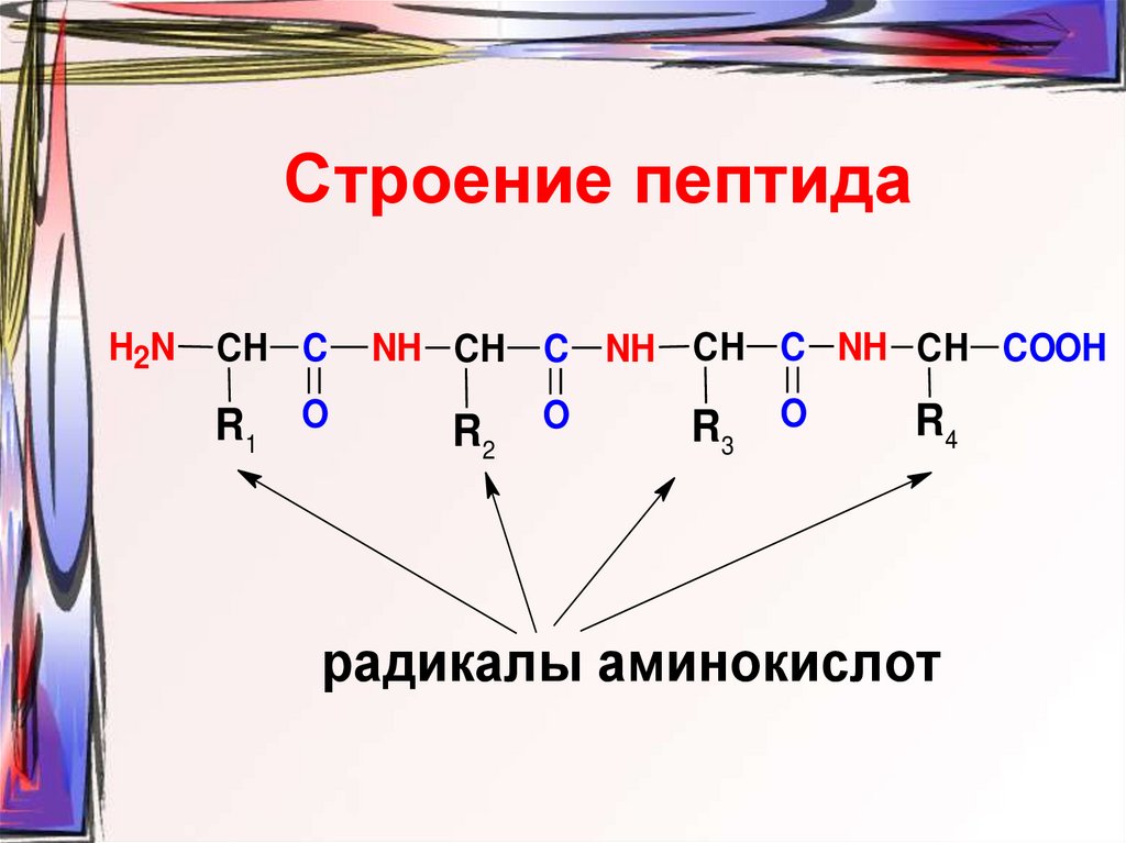 Полипептид строение. Пептидная связь химическая структура. Строение пептидной связи. Структура пептидной связи. Пептиды строение пептидной связи.