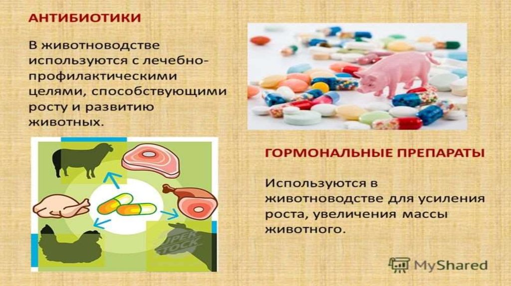 Пищевые загрязнения. Загрязнители пищевых продуктов. Загрязнители пищевых продуктов презентация. Антибиотики в пищевых продуктах. Загрязнения пищевых продуктов разделяют на:.