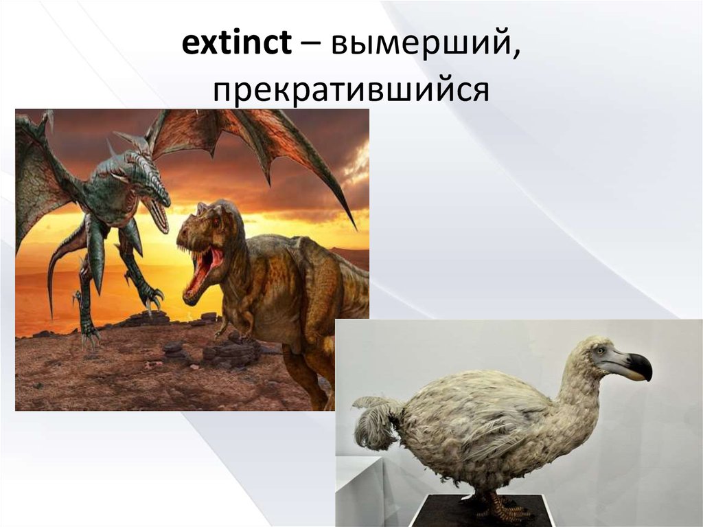 extinct – вымерший, прекратившийся