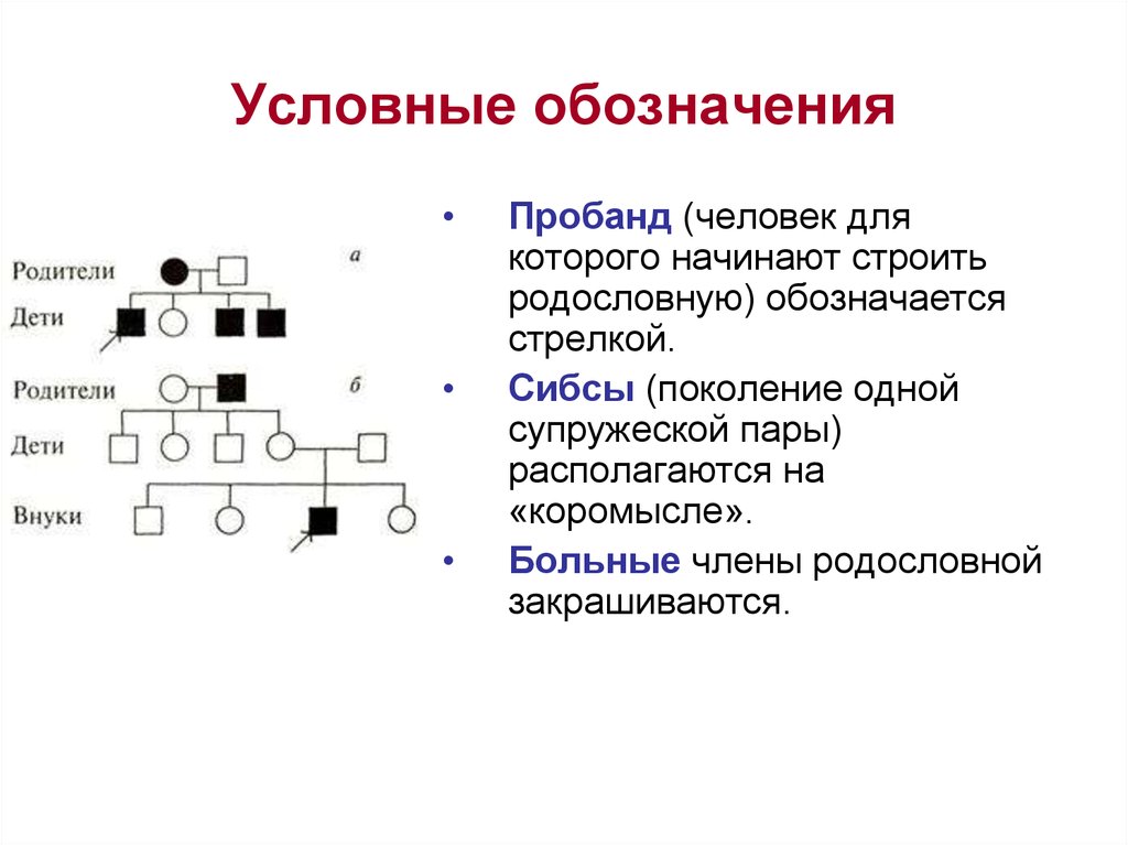 Условные обозначения генетики. Родословная генетика пробанд. Условные генетические обозначения. Обозначения в родословной. Родословная генетика обозначения.