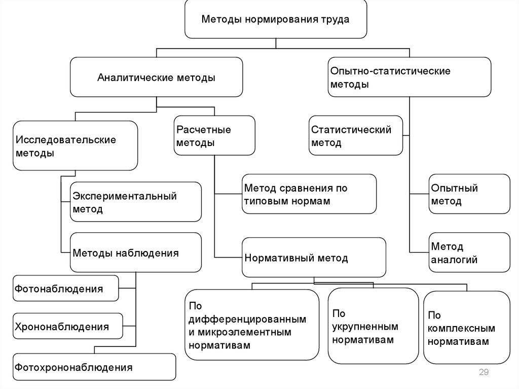 Виды трудовых процессов