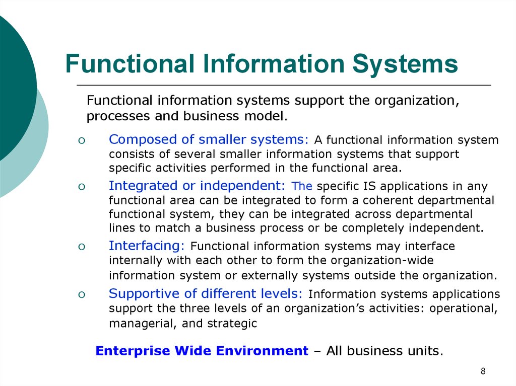 Functional Information Systems