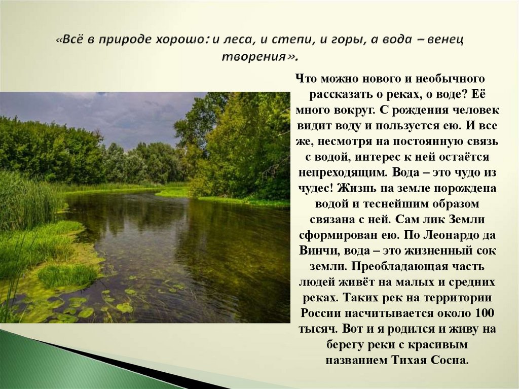 Исток реки Тихая сосна Белгородской области. Притоки реки Тихая сосна. Тихая сосна красивые места.