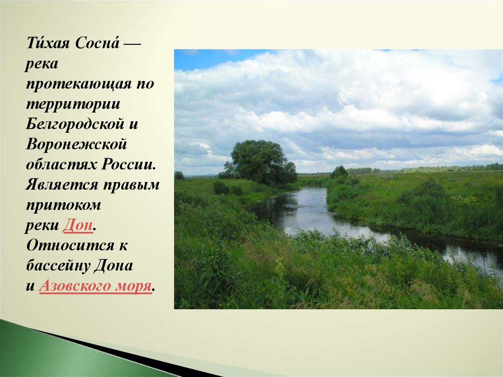 Карта тихой реки. Тихая сосна. Река Тихая сосна на карте. Речка Тихая сосна.