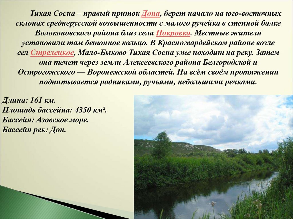 Тихая сосна. Сплав по реке Тихая сосна. Река Тихая сосна на карте. Тихая сосна Воронежская область база отдыха. Что означает название реки Тихая сосна.