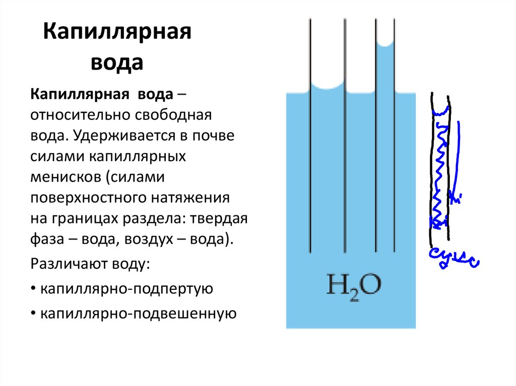 Доклад: Движение воды в почве