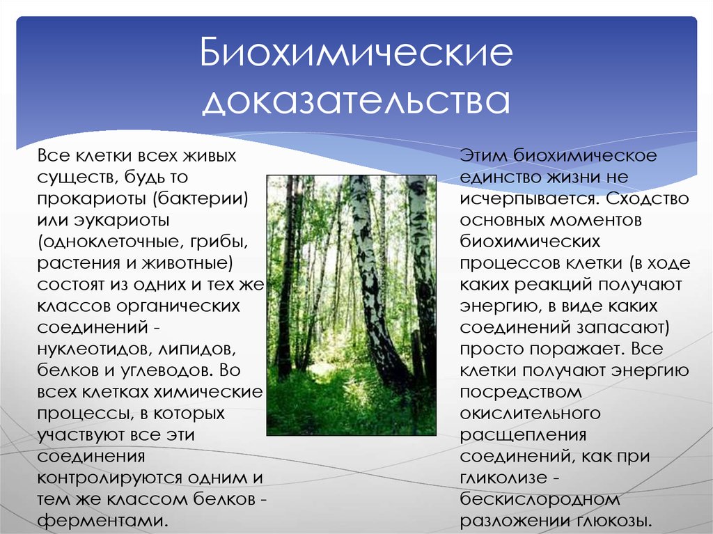 Биохимические доказательства. Биохимические доказательства эволюции. Биохимические доказательства примеры. Биохимическое единство жизни.