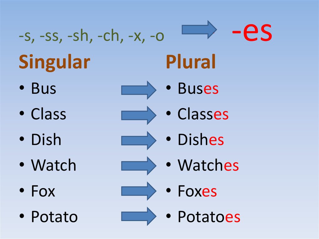 word that ends with x plural