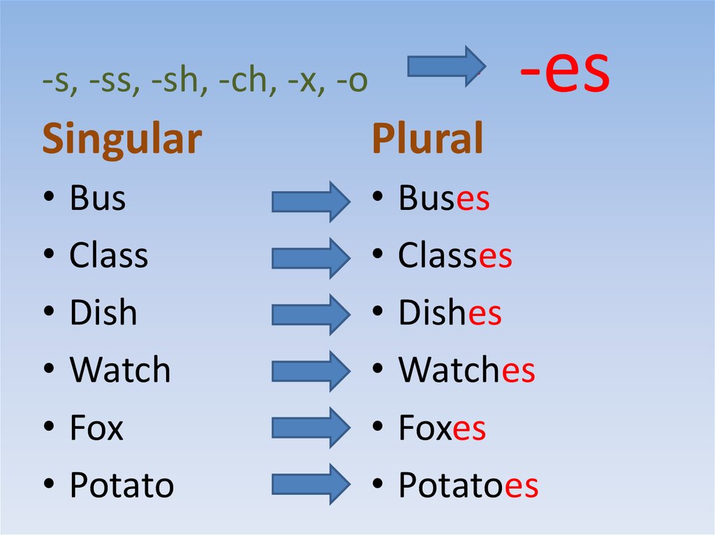 Plural form of the nouns - online presentation