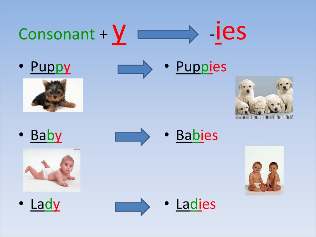 plural-form-of-the-nouns-online-presentation