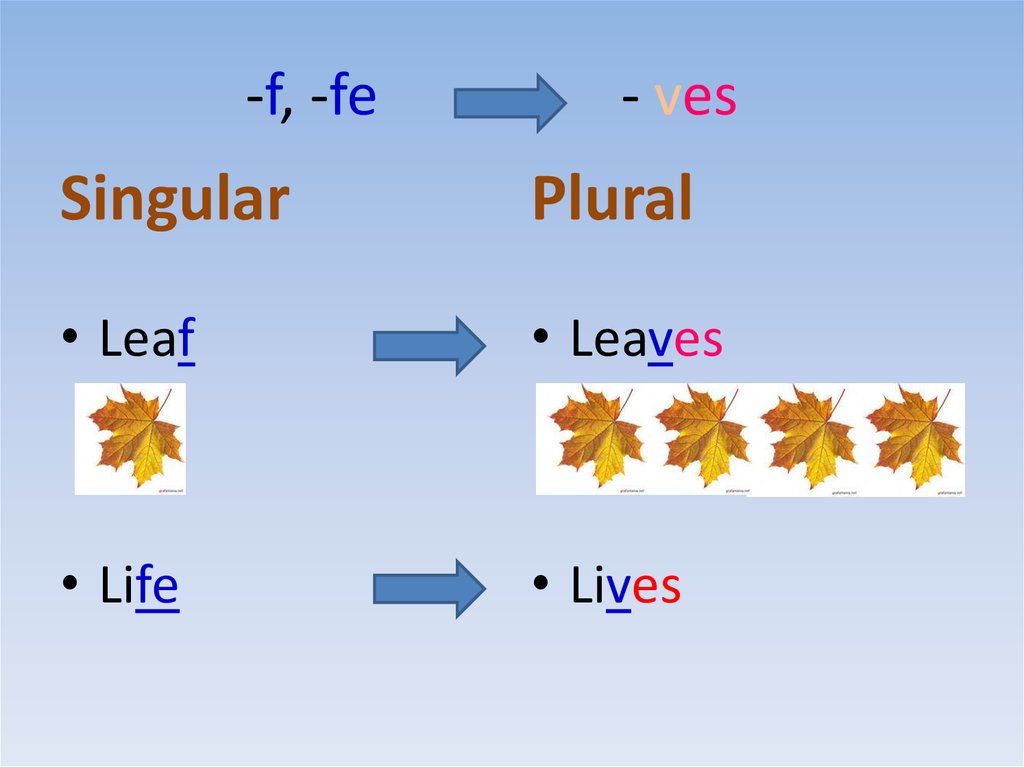 Plural form of the nouns - online presentation