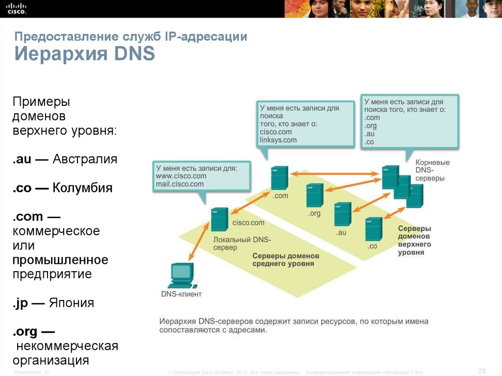 Предоставление служб IP-адресации Иерархия DNS